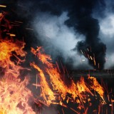 Daenerys 4-Retall